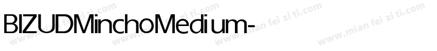 BIZ UDMincho Medium字体转换